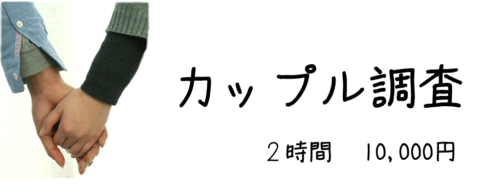 総合探偵社ドッグ