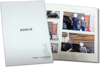 調査報告書見本