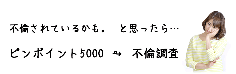 オススメ1調査プラン