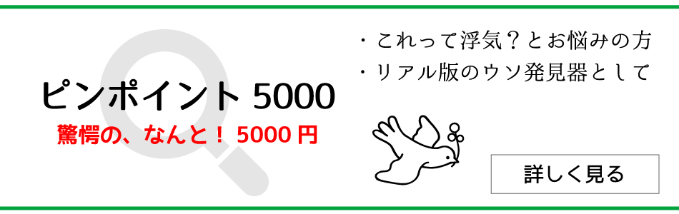 ピンポイント調査